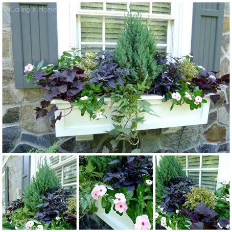 Window Box Basics 